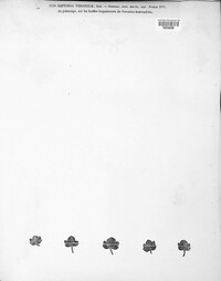 Septoria verbenae image